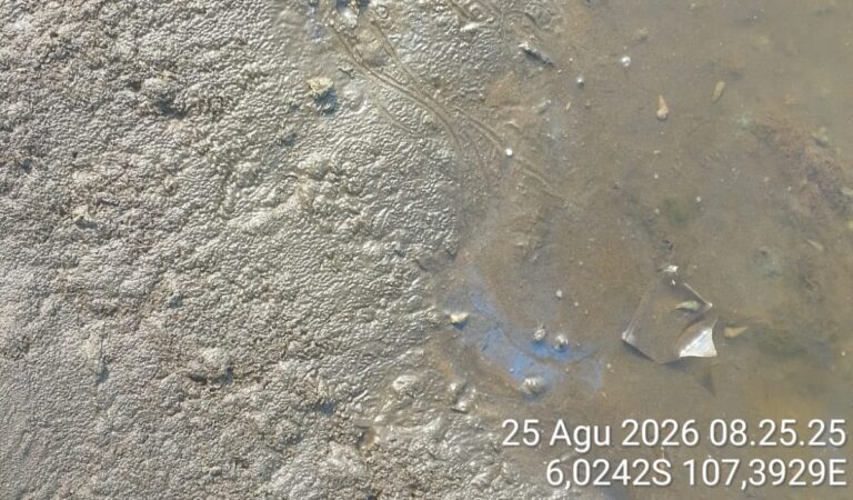 Gumpalan Hitam Muncul di Pantai Cemara Jaya, Nelayan Khawatir Diduga Oil Spill